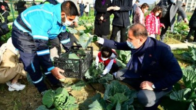 Küçük Bahçıvanlar Parkında ilk hasat yapıldı