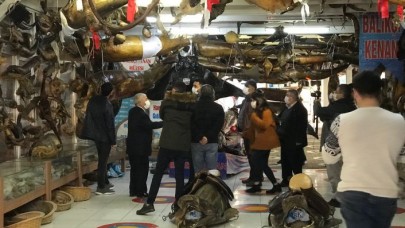 ORTA DOĞU’DAN TÜRKİYE DENİZ CANLILARI MÜZESİNE BÜYÜK İLGİ