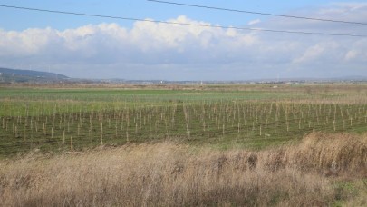 İSKİ, İÇME SUYU HAVZALARINI AĞAÇLANDIRIYOR