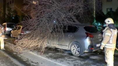 Bakırköyde ağaç otomobilin üzerine devrildi