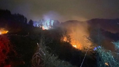 Rizede orman yangını!