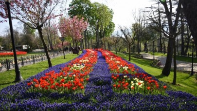 Emirgan Korusunda lale zamanı