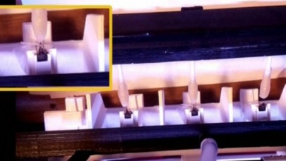 Koronavirüsle ilgili heyecanlandıran bal arıları keşfi