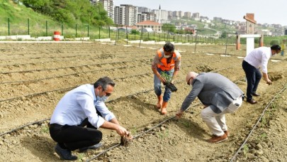 YAŞAM BAHÇESİ’NE YAZLIK FİDELER DİKİLDİ