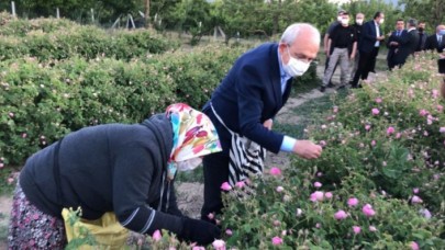 Kılıçdaroğlu, emekçilerle birlikte gül topladı
