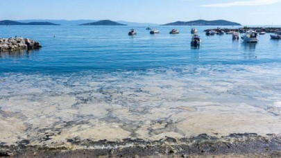 Marmara Denizinde tehlike çanları: Sıradan bir doğa olayı gibi algılanıyor