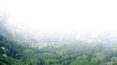 'Çılgın projenin hafriyatı orman için fırsat'