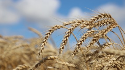 Büyükçekmece Belediyesi’nin ‘’Tarımda Yeni Uygulamalar’’ eğitimi tamamlandı