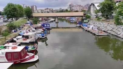 Küçükçekmece Gölündeki balık ölümleri