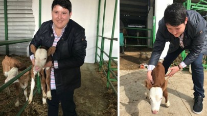 511 milyon lira ile kaçan Tosuncukun cebinden çıkan para şoke etti!