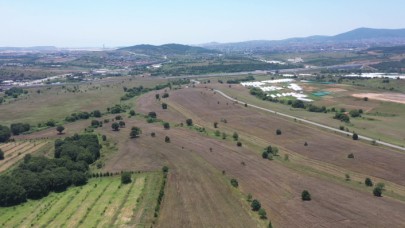 BOŞ DURAN ARAZİLERDE İLK BUĞDAY HASADI YAPILDI