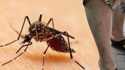 Asya Kaplan Sivrisineği kabusu büyüyor: Yağışlı bölgelere dikkat!