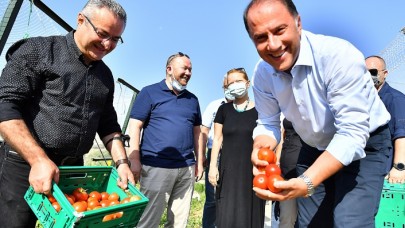 BAŞKAN ÇALIK YAŞAM BAHÇESİ’NDE HASADA KATILDI