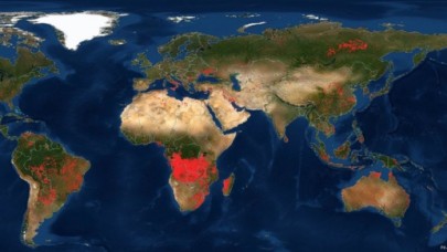 Dünyadaki yangınları takip eden platform