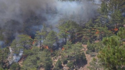 Köyceğizdeki orman yangını hakkında korkutan gelişme