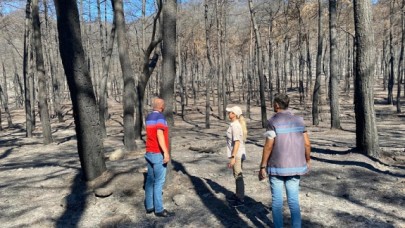 BEYLİKDÜZÜ YANGIN BÖLGESİNDEKİ YARALARI SARIYOR