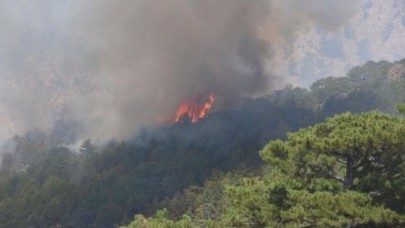 Köyceğizde başlayan orman yangını Denizli sınırına yaklaştı