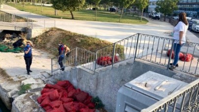 Menekşe Plajında kaçak midye avcılığı yapanlara operasyon