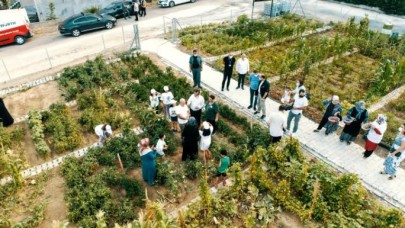 Büyükçekmecede kent tarımı uygulaması mahallelere yayılıyor