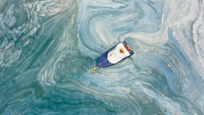 Müsilaj kabusu sürüyor: Marmara Denizi’nden balık yenir mi?