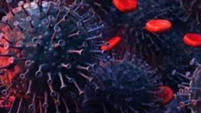 20 ülkenin sağlık bakanı toplandı: Koronavirüste yeni mutasyon endişesi!