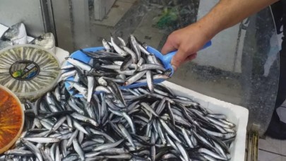 Balık fiyatları yarı yarıya düştü