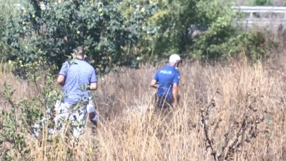 Meyve toplamaya gittiler ceset buldular!