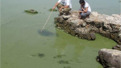 GÖLLERDE ÇÜRÜME FELAKETİ