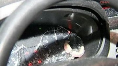 Gösterge her şeyi gösterdi!