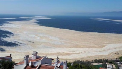 Korkutan açıklama: Marmara Denizi öldü... İstavrit, lüfer, palamut hasta!