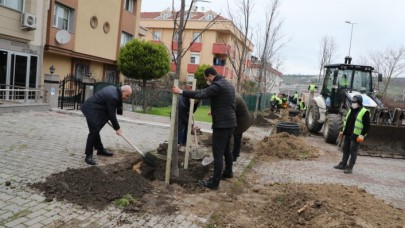 Büyükçekmece 2022 yılına 22 ıhlamur ağacı dikerek girdi     