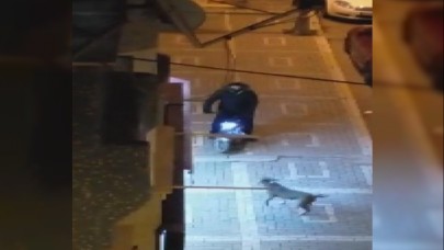 Avcılarda sokaktaki Pitbulldan korkup otomobilin üstüne çıktı