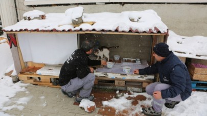 KÜÇÜKÇEKMECE’DE CAN DOSTLAR AÇ KALMIYOR