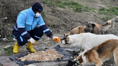 BEYLİKDÜZÜ BELEDİYESİ ZORLU KIŞ KOŞULLARINDA DA PATİLİ DOSTLARIN YANINDA