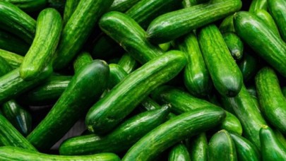 Tarladan 2 liraya çıkan salatalık, nasıl 30 liraya satılıyor?