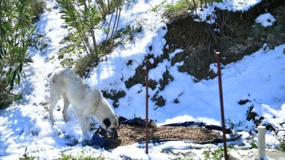 “HAVA MUHALEFETİNE KARŞI İYİ BİR SINAV VERDİK”