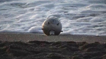 Rusyadan Türkiyeye acil uyarı: Mayınlar oraya sürükleniyor, İstanbul da tehlike altında!