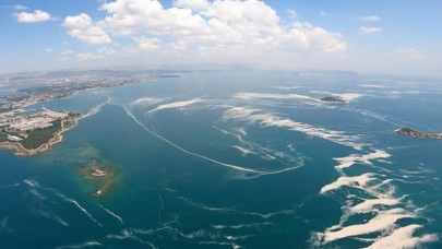 Temizlenmesi için aylarca çalışılmıştı: Müsilaj tehlikesi geri gelebilir
