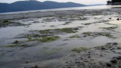 Muğlada süper gelgitler başladı! Uzmanından deprem açıklaması