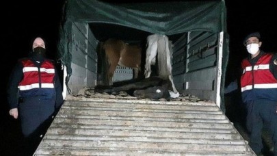 Mide bulandıran görüntüler! Operasyonda yakalandılar