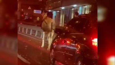 E-5 kovboyu trafiği birbirine kattı