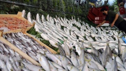 Karadeniz’de sürüklenen mayınlar balık fiyatlarını arttırdı