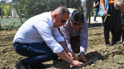 YAŞAM BAHÇESİ’NDE YAZLIK FİDELER TOPRAKLA BULUŞTU