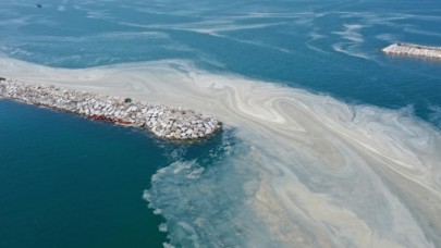 Müsilaj için uzun vadede plan yapıldı!