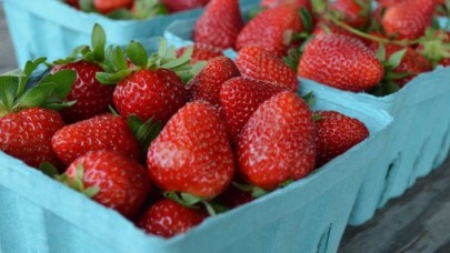 Yeni bir salgın krizi daha: Çileklerden yayılmış olabilir!