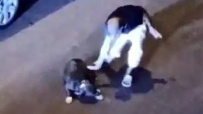 Avcılarda köpeğe işkence yapan kişi gözaltına alındı