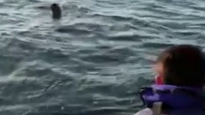 Avcılarda polisten yüzerek kaçmaya çalıştı!