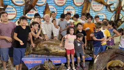 TÜRKİYE DENİZ CANLILARI MÜZESİ YARIM ASIRDIR MİLYONLARCA KİŞİYİ AĞIRLADI