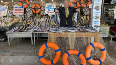 Palamut balığı anne sütü ile eşdeğer