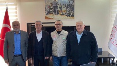 Evcil hayvanlara artık çip takılacak